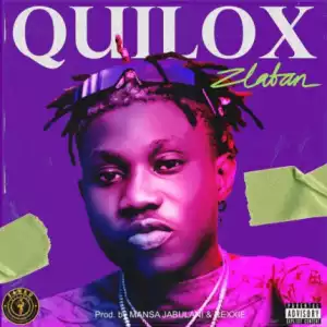 Zlatan Ibile - Quilox (Snippet)